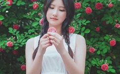 儿女传奇蝴蝶魔咒